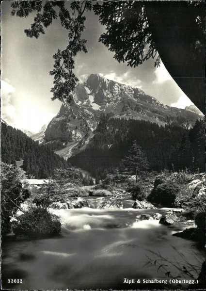 Obertoggenburg Vorderseite