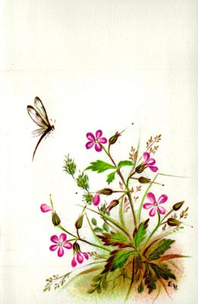 Blumen mit Libelle Vorderseite