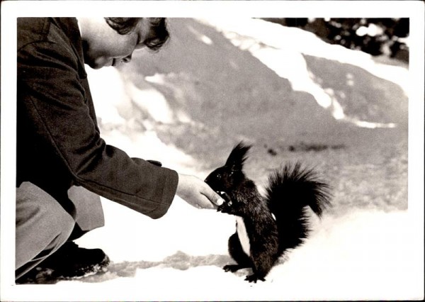 Eichhörnchen in Arosa Vorderseite