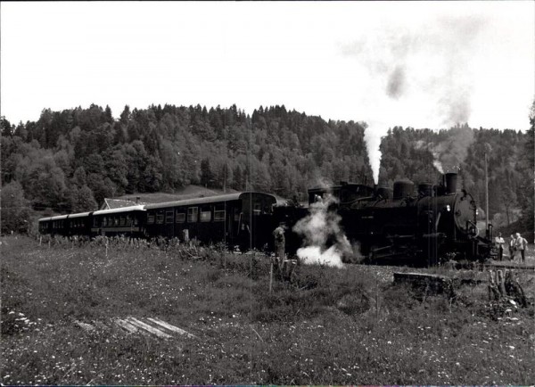 Dampfzug Vorderseite
