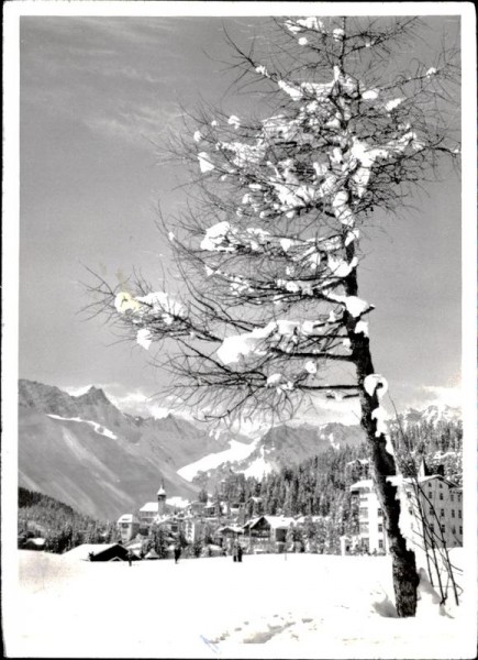 Arosa Vorderseite
