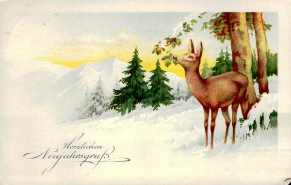 Herzlichen Neujahrsgruss Vorderseite