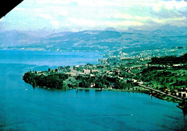 Landgasthof am Zürichsee, Halbinsel Au  -  Flugaufnahmen Vorderseite