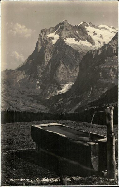 Wetterhorn v. Kl. Scheidegg Vorderseite