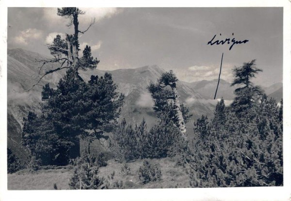 Nationalpark - Hotel JL Fuorn, Ofenberg, Blick auf Murter, La Schera, Schweiz. Nationalpark Vorderseite