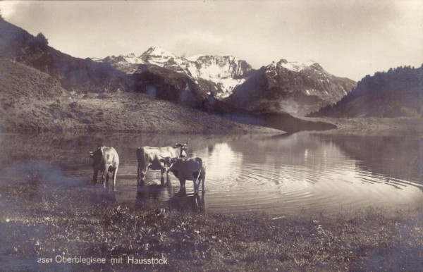Oberblegisee