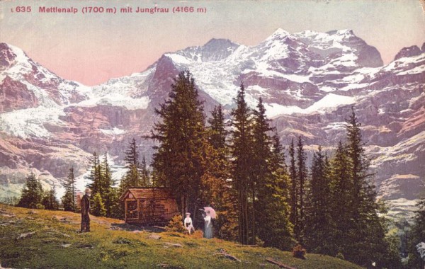 Mettlenalp (1700m) mit Jungfrau (4166m)