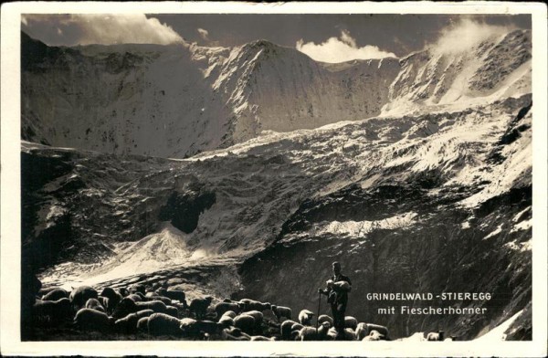 Grindelwald - Stieregg mit Fieschhörner Vorderseite