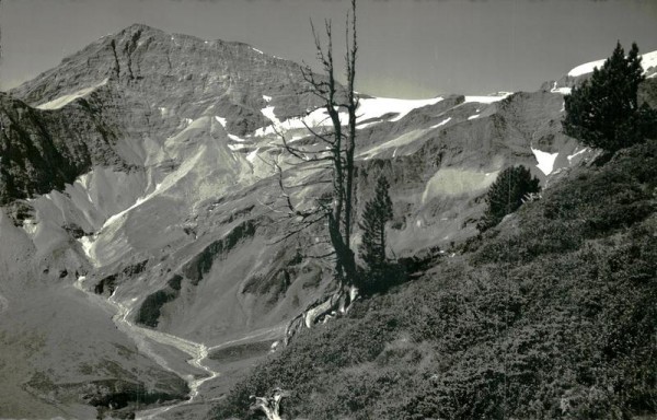 Sardonagebirge und Trinserhorn Vorderseite
