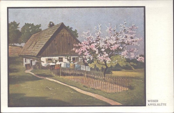 Weber, Apfelblüte Vorderseite