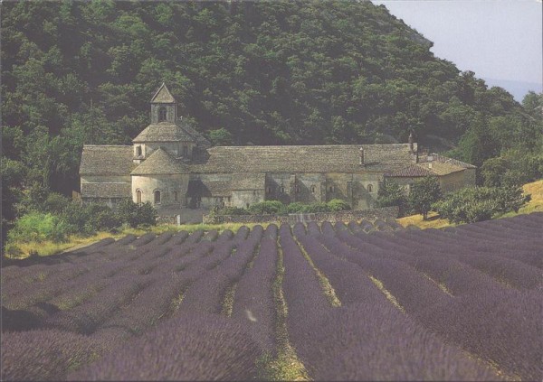 Abbaye de Sénanque, Gordes Vorderseite