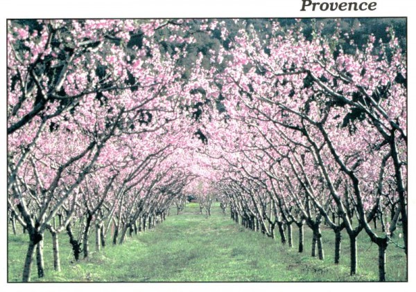 Provence Vorderseite