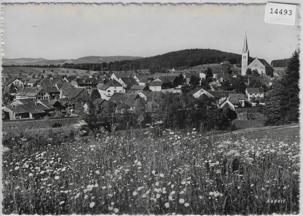 Aadorf TG - Generalansicht im Frühling