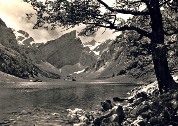 Seealpsee bei Appenzell mit Altmann, Rossmahd und Säntis Vorderseite