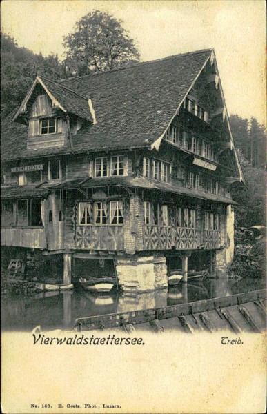 Vierwaldstättersee - Treib Vorderseite