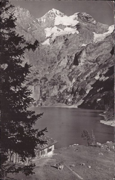 Oeschinensee (1600 m) mit Blümlisalp (3671 m)