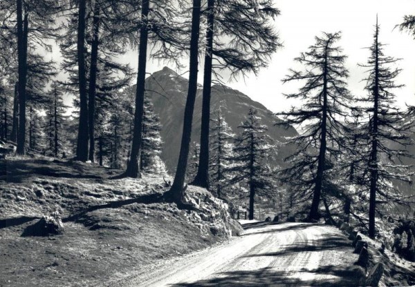 Albula-Pass mit Piz Mezaun Vorderseite