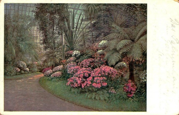 Azaleen-Ausstellung im Palmenhaus Schönnbrunn, J.Jaubersin Vorderseite