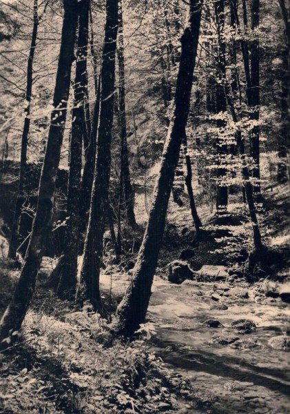 Waldbach, Freiburg CH Vorderseite