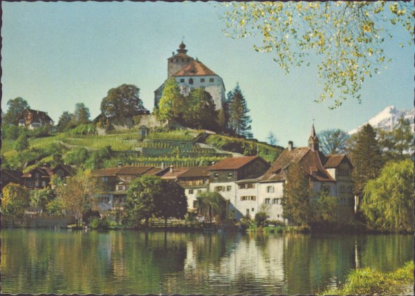 Schloss und Städtchen Werdenberg bei Buchs