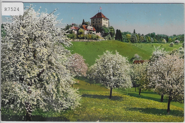 Schloss Heidegg im Frühling - Litho