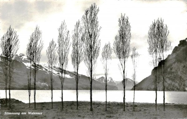 Stimmung am Walensee Vorderseite