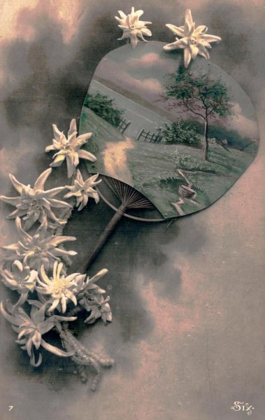 Blumen mit Bild Vorderseite