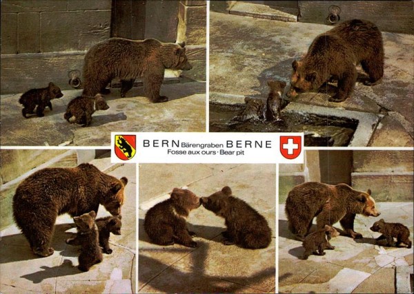 Bern/Bärengraben Vorderseite