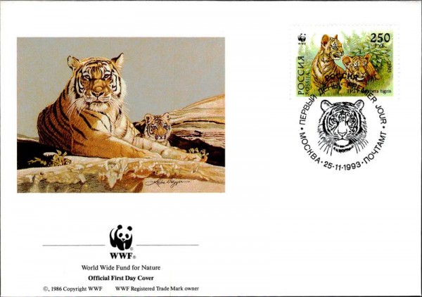 Sibirischer Tiger Vorderseite
