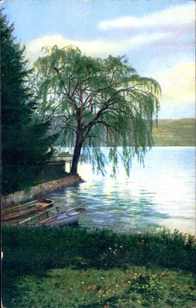 Baum am See Vorderseite