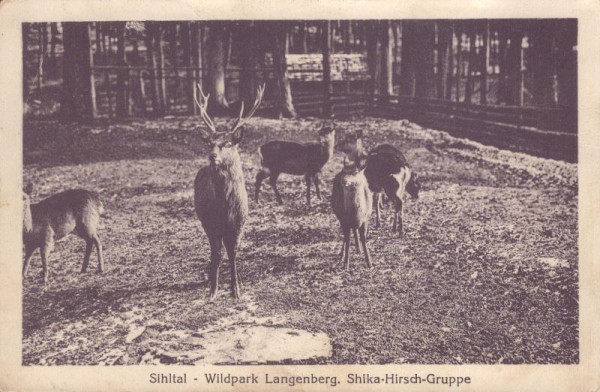 Shilwald - Wildpark Langenberg