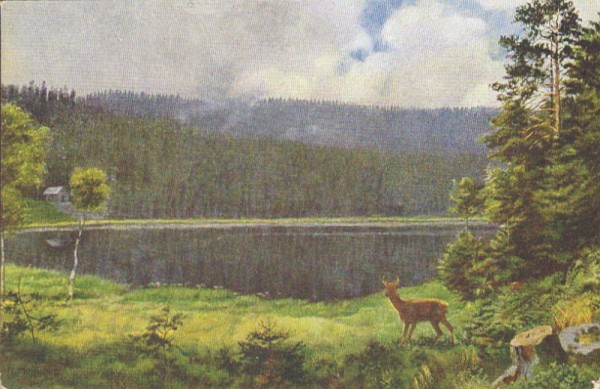 Am Schurmsee im Schwarzwald