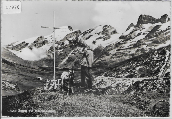 Betruf auf Melchseefrutt - Ziege chevre goat