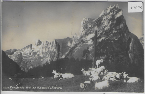 Furgglenalp - Blick auf Hundstein und Altmann - Ziegen chevres, goats