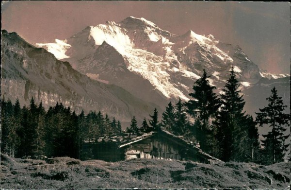 Bei Wengen - die Jungfrau (4158 m) Vorderseite