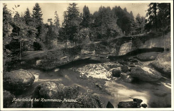 Naturbrücke bei Krummenau-Nesslau Vorderseite