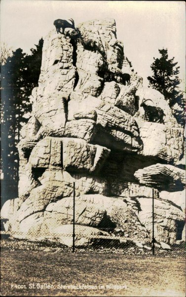 St. Gallen, Steinbackfelsen im Wildpark Vorderseite