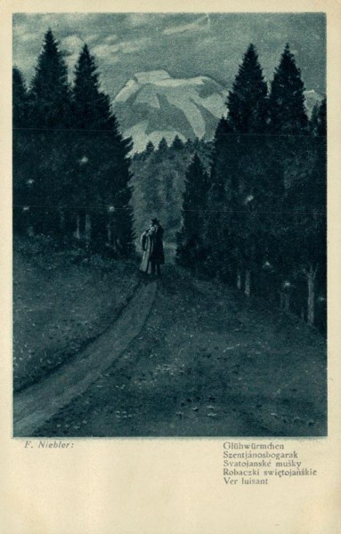 Glühwürmchen, F.Niebler Vorderseite