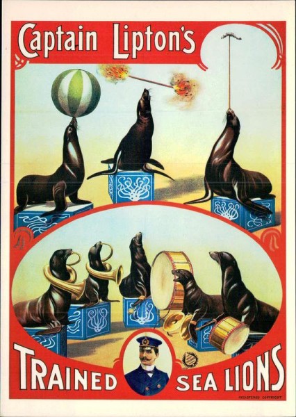 Captain Lipton's Trainded Sea Lions, REPRODUKTION Vorderseite