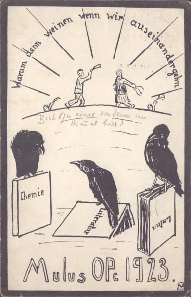 Mulus OPc 1923 Vorderseite