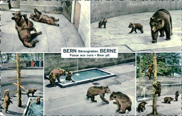 Bärenpark Bern Vorderseite