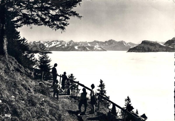 Rigi-Seeweg, mit Nebelmeer, Glarner- Urner und Nidwaldner Alpen Vorderseite