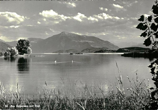 Zugersee mit Rigi Vorderseite