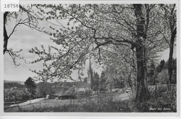 Muri bei Bern im Frühling