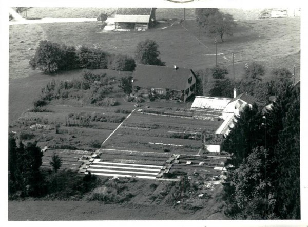 Männedorf, Flugaufnahme Vorderseite