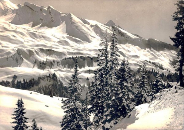 Klewenalp - Beckenried. Luzerner Skihaus Rötenport. Blick ins Brisengebiet Vorderseite