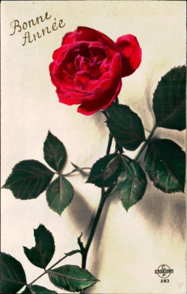 Bonne Année Vorderseite