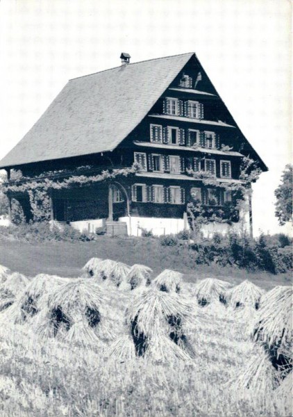  Bauernhaus Cham / ZG Vorderseite