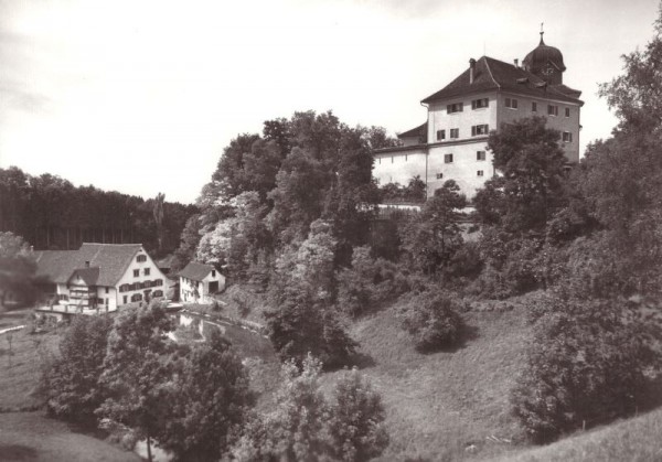 Schloss Grüningen