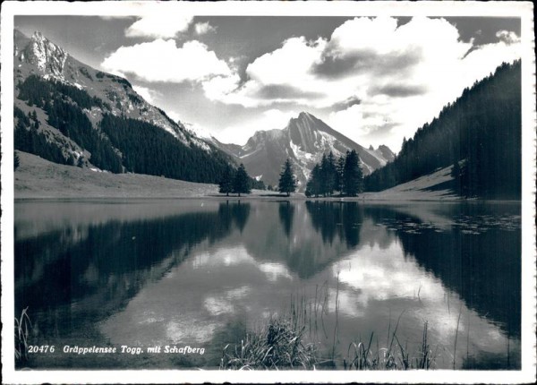Gräppelensee Toggenburg mit Schafberg Vorderseite